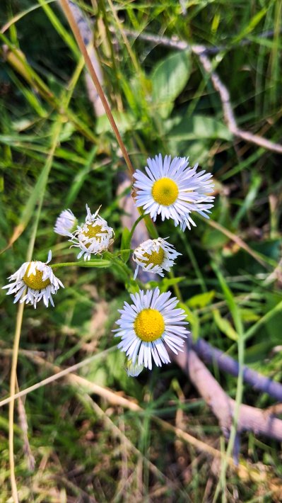 Wojsławickie Klimaty - galeria zdjęć